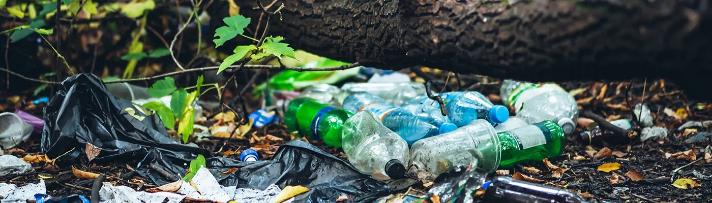 Garbage pile in forest among plants. Toxic plastic into nature everywhere. Rubbish heap in park among vegetation. Contaminated soil. Environmental pollution. Ecological issue. Throw trash anywhere.