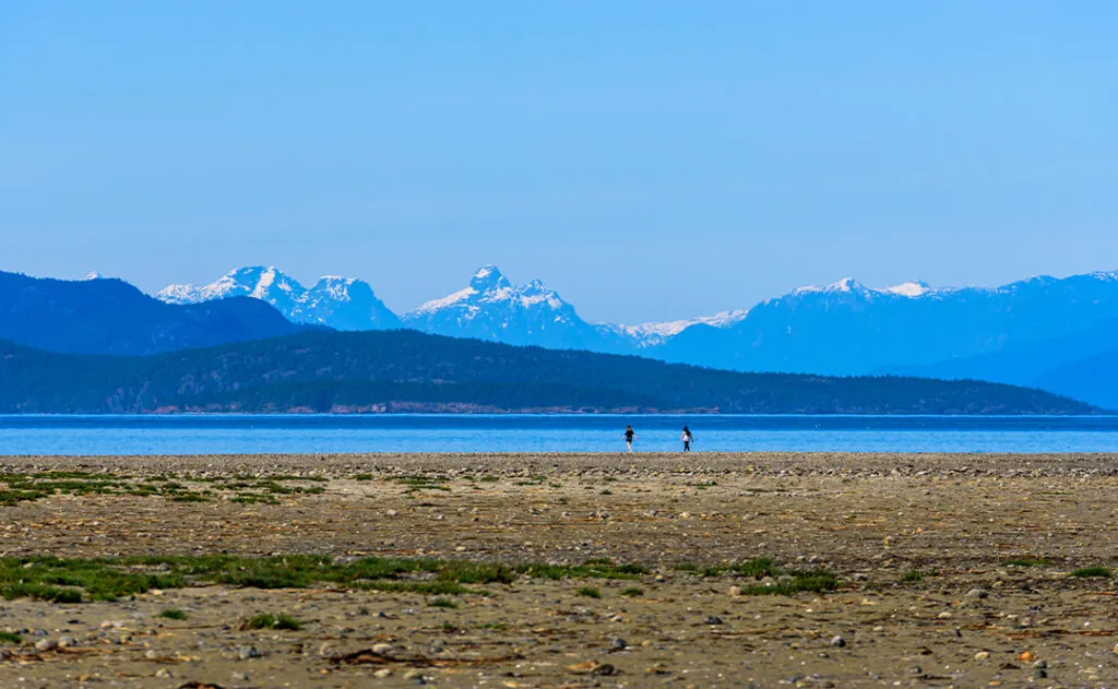 Rathtrevor Beach with view of Snowcapped Mountain Ranges at low tide in Parksville, British Columbia, Canada