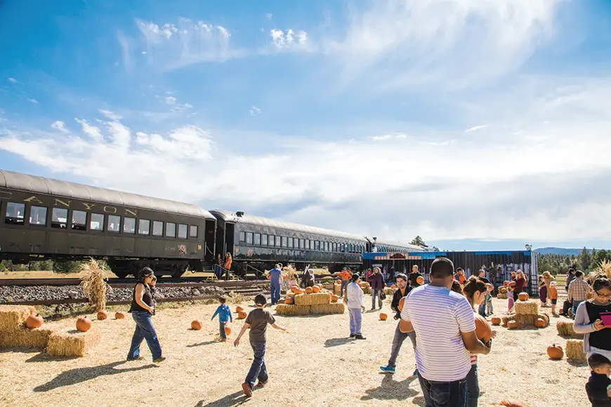 grand canyon railway pumpkin train.