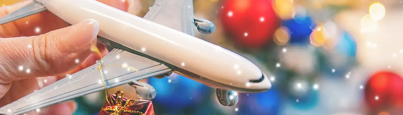 Person holding toy airplane