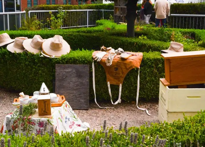 Honey Bee Demonstration Set up on the Roof of the Fairmont Waterfront in Vancouver